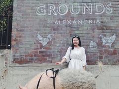 -The Grounds of Alexandria