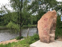-六里坪国家森林公园