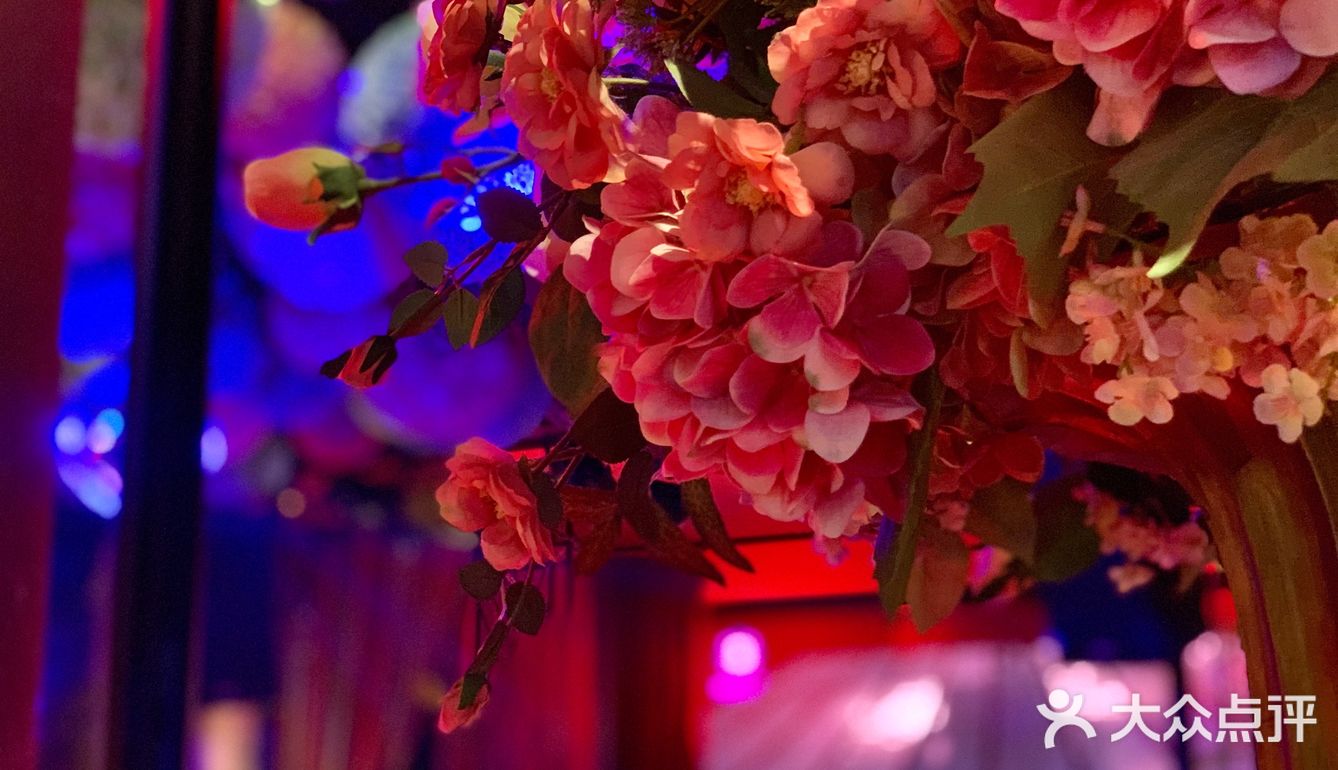 【苏州美食地图】超有feel的音乐🎵餐厅