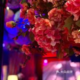 【苏州美食地图】超有feel的音乐🎵餐厅