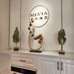 -茜尔维亚修身连锁(庆春银泰店)