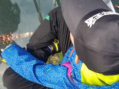 -石燕湖生态旅游景区