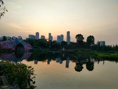 -映月湖公园