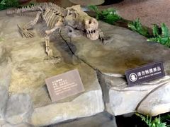 -自贡恐龙博物馆