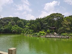 -广州市帽峰山景区