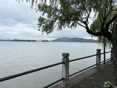 -无锡蠡湖国家湿地公园-蠡园