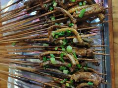 鳝鱼-晓靖轩烧烤(沙河风情店)