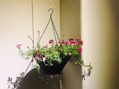 -瓦库茶馆17号(海汇港店)