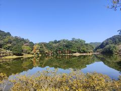 -广州市石门国家森林公园