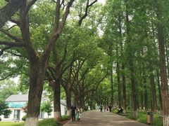 -食膳公园包子铺(烈士公园店)