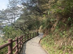 -羚羊峡古栈道森林公园