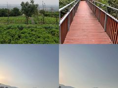 -紫云台香草园