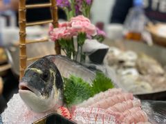 金鲷鱼生-飞尝蚝·顺德菜·鱼生(顺德总店)