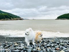 -乌石塘景区