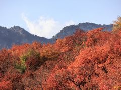 -周口店坡峰岭风景区