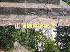 -岳麓山风景名胜区