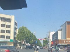 -正宗忘不了老鹅(梅岭店)