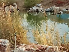 -鄂尔多斯野生动物园