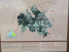 -阳台山森林公园