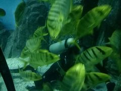 -福州罗源湾海洋世界旅游区