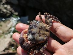 -青岛金沙滩