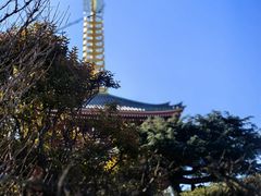-浅草寺