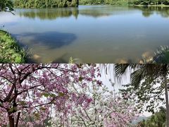 -番禺大夫山森林公园