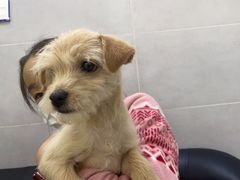 -宠颐生嘉德动物医院