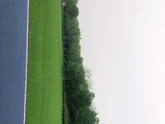 -宜兴龙背山森林公园