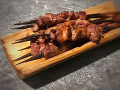 红柳烤肉-纳瓦新疆菜(银都店)