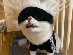 -小麦穗私人订制蛋糕·甜品台(万达店)