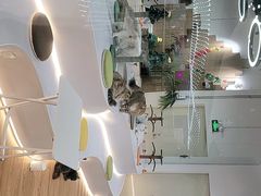 -COLOR PETS 撸猫馆·购猫·猫咖(长风大悦城店)