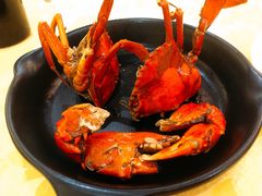 -莲花公园煎蟹(总店)