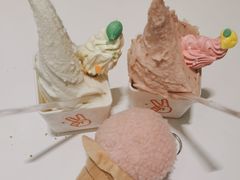 -野人先生现做冰淇淋(北京环宇荟店)