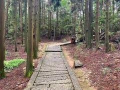 -玉苍山国家森林公园