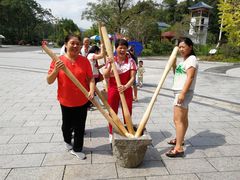 -九龙江国家森林公园