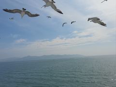 -长岛南北长山旅游景区