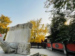 -北京石刻艺术博物馆(五塔寺)