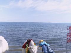 景点-青海湖国家重点风景名胜区