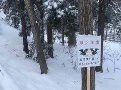 -北海道神宫