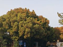 -热带风暴水上乐园