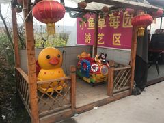 -小鱼草莓采摘园农家乐·小鱼餐厅