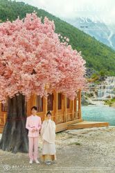 -屿爱摄影优选店