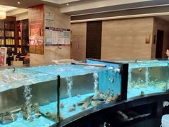 -国龙大酒店-中餐厅