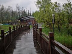 -溱湖国家湿地公园