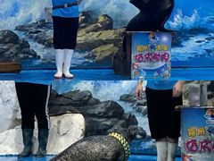 -左海海底世界