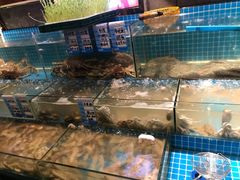 水产区-烧货·活海鲜炭烧(湖滨商业街店)