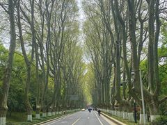 -杏花村文化旅游区