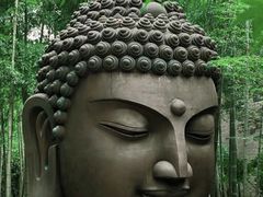 -杭州植物园