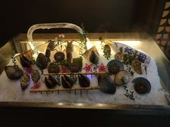 -山葵家·创意料理(宁波来福士店)